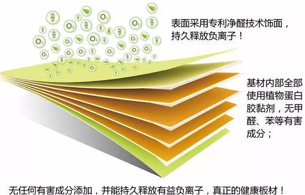 濃情端午,粽葉飄香 環(huán)保生活，健康你我